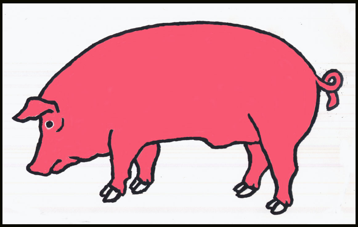 Pig Symbol